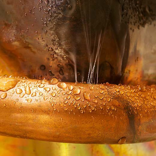 Same Day Maplewood Plumbing Service, drains, septic, trenchless.